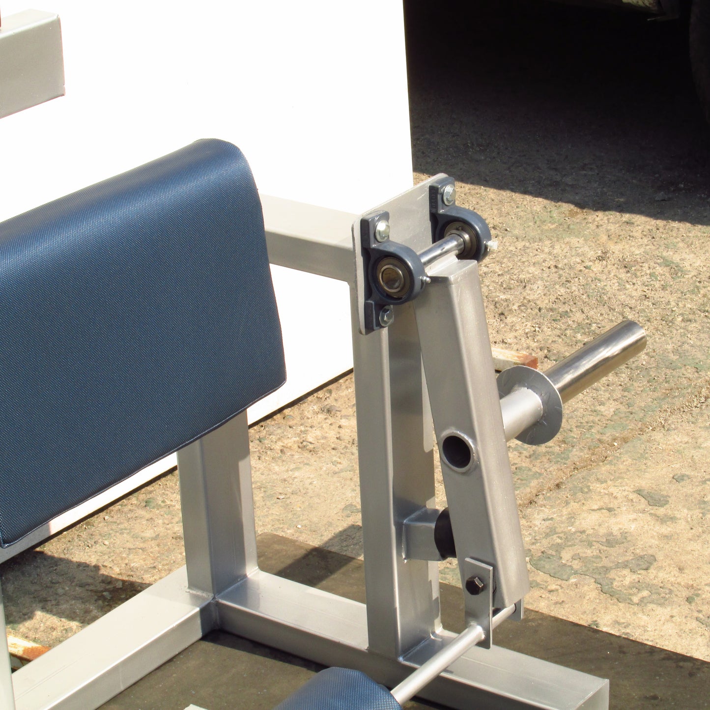 Máquina de curl de femoral parado