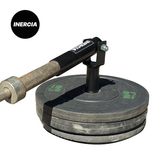 Pivote Landmine para Discos